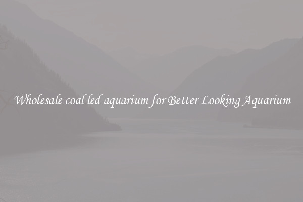 Wholesale coal led aquarium for Better Looking Aquarium