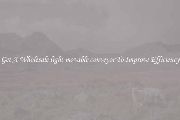 Get A Wholesale light movable conveyor To Improve Efficiency