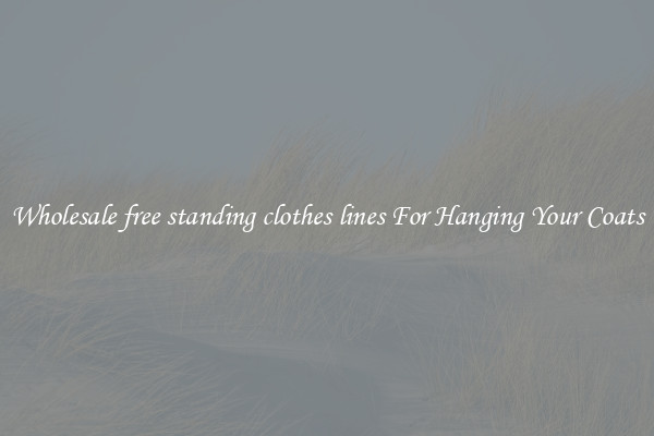Wholesale free standing clothes lines For Hanging Your Coats
