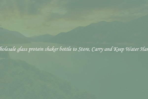 Wholesale glass protein shaker bottle to Store, Carry and Keep Water Handy