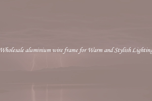 Wholesale aluminium wire frame for Warm and Stylish Lighting