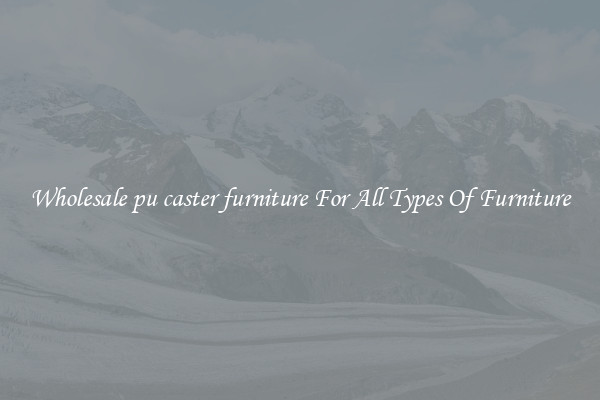 Wholesale pu caster furniture For All Types Of Furniture