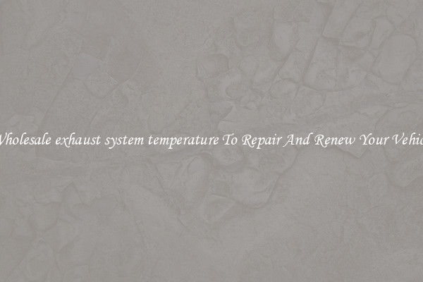 Wholesale exhaust system temperature To Repair And Renew Your Vehicle