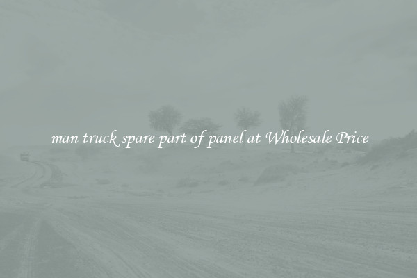 man truck spare part of panel at Wholesale Price