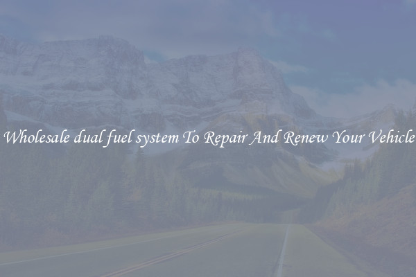 Wholesale dual fuel system To Repair And Renew Your Vehicle