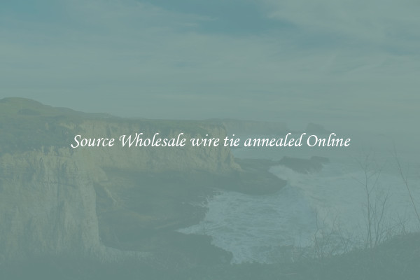 Source Wholesale wire tie annealed Online