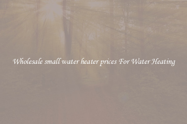Wholesale small water heater prices For Water Heating