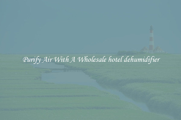 Purify Air With A Wholesale hotel dehumidifier