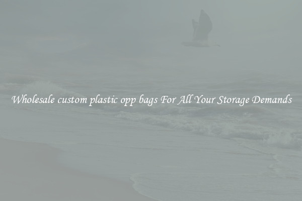 Wholesale custom plastic opp bags For All Your Storage Demands