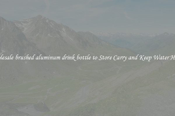 Wholesale brushed aluminum drink bottle to Store Carry and Keep Water Handy