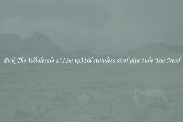 Pick The Wholesale a312m tp316l stainless steel pipe tube You Need