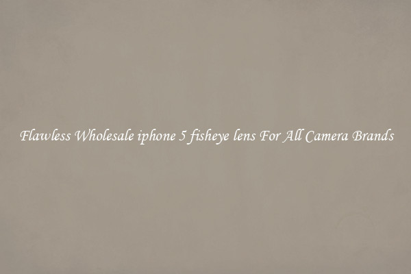 Flawless Wholesale iphone 5 fisheye lens For All Camera Brands